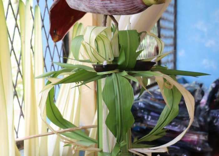 IMG_5974-FILEminimizer-e1670990341107