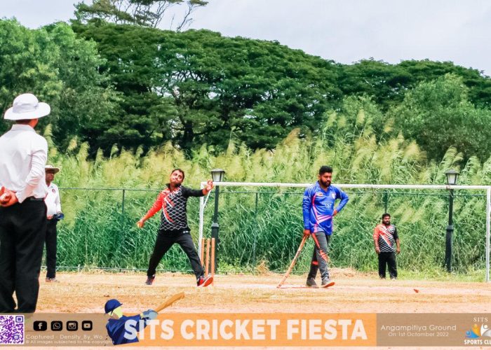 MG_7977-FILEminimizer