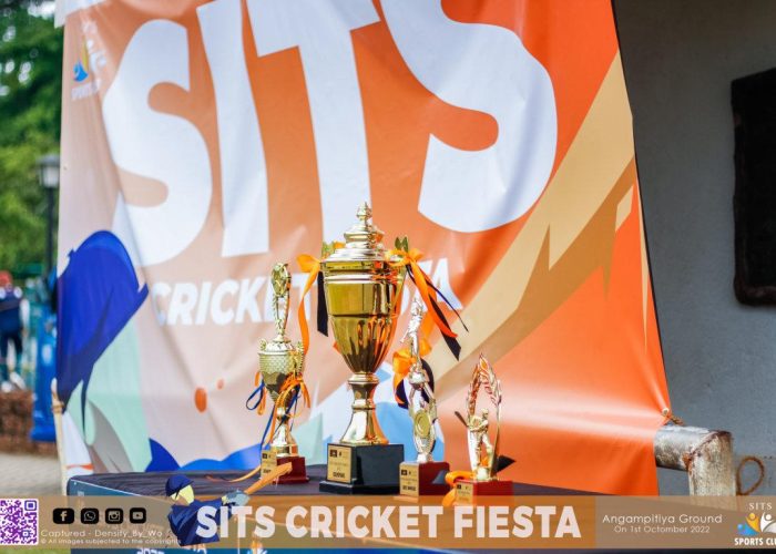 MG_8093-FILEminimizer