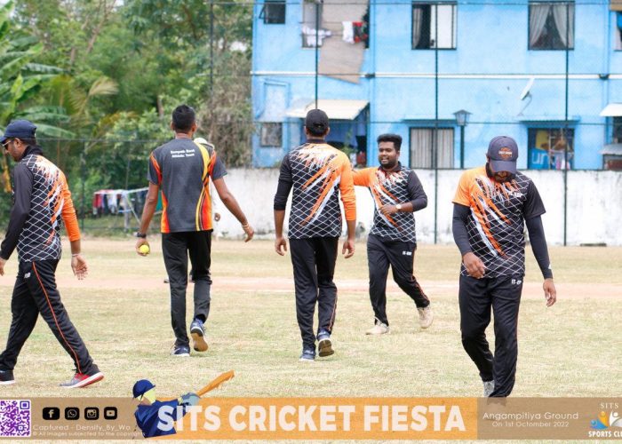 MG_8173-FILEminimizer