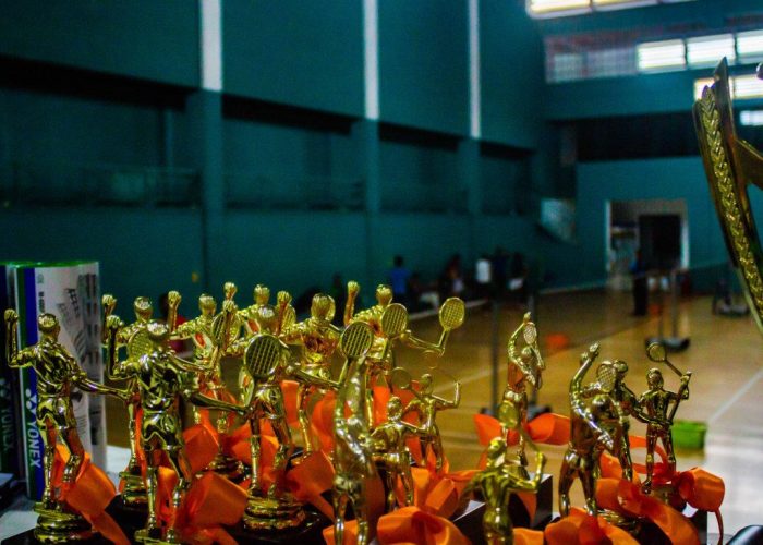 SITS-Badminton-001-88-FILEminimizer